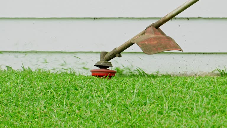 Best Aeration Services  in Cedar Ridge, CA