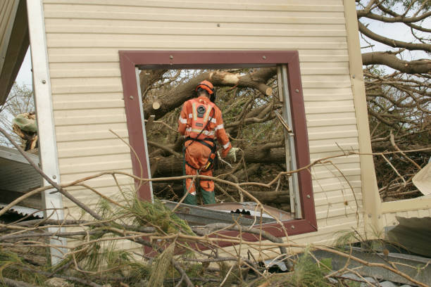 Best Tree Mulching  in Cedar Ridge, CA